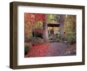 Japanese Gazebo with Fall Colors, Spokane, Washington, USA-Jamie & Judy Wild-Framed Photographic Print