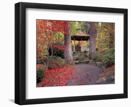 Japanese Gazebo with Fall Colors, Spokane, Washington, USA-Jamie & Judy Wild-Framed Photographic Print