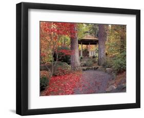 Japanese Gazebo with Fall Colors, Spokane, Washington, USA-Jamie & Judy Wild-Framed Photographic Print