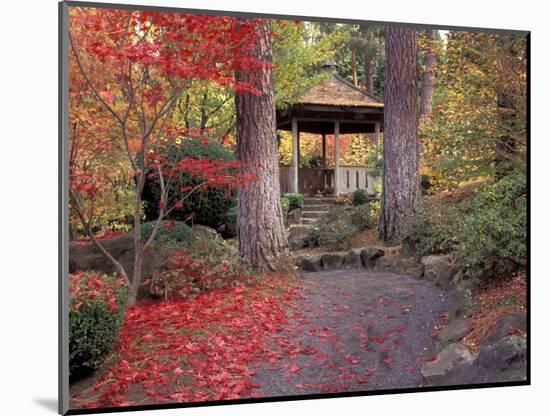 Japanese Gazebo with Fall Colors, Spokane, Washington, USA-Jamie & Judy Wild-Mounted Photographic Print