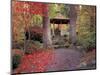 Japanese Gazebo with Fall Colors, Spokane, Washington, USA-Jamie & Judy Wild-Mounted Photographic Print