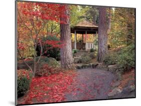 Japanese Gazebo with Fall Colors, Spokane, Washington, USA-Jamie & Judy Wild-Mounted Photographic Print