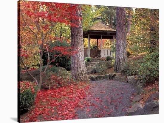 Japanese Gazebo with Fall Colors, Spokane, Washington, USA-Jamie & Judy Wild-Stretched Canvas