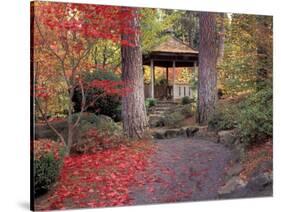 Japanese Gazebo with Fall Colors, Spokane, Washington, USA-Jamie & Judy Wild-Stretched Canvas