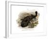 Japanese Giant Salamander-null-Framed Giclee Print