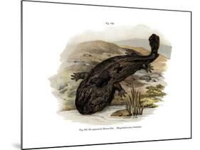 Japanese Giant Salamander-null-Mounted Giclee Print