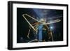 Japanese Giant Spider Crab (Macrocheira Kaempferi) World'S Largest Crustacean In Tokyo Aquarium-Jeff Rotman-Framed Photographic Print