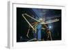 Japanese Giant Spider Crab (Macrocheira Kaempferi) World'S Largest Crustacean In Tokyo Aquarium-Jeff Rotman-Framed Photographic Print