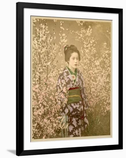 Japanese Girl Next to Cherry Blossom Tree-null-Framed Photographic Print