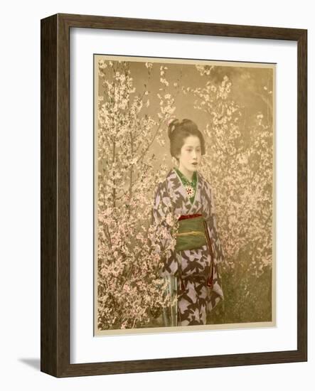 Japanese Girl Next to Cherry Blossom Tree-null-Framed Photographic Print