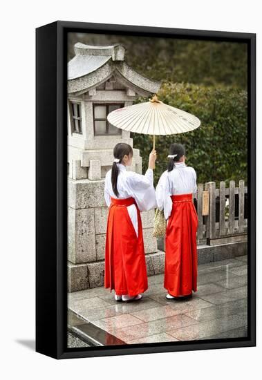 Japanese Girls in Red Hakama with Umbrella in Rain Kamakura Japan-Sheila Haddad-Framed Stretched Canvas