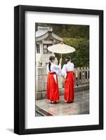 Japanese Girls in Red Hakama with Umbrella in Rain Kamakura Japan-Sheila Haddad-Framed Photographic Print