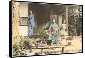 Japanese Girls with Bonsai-null-Framed Stretched Canvas