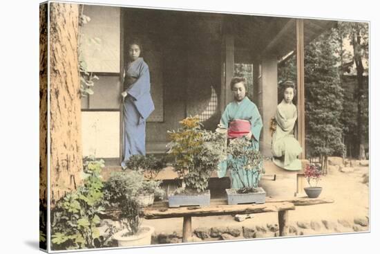 Japanese Girls with Bonsai-null-Stretched Canvas