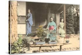 Japanese Girls with Bonsai-null-Stretched Canvas