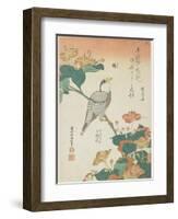 Japanese Grosbeak and Four-O'Cloks, C. 1833-Katsushika Hokusai-Framed Giclee Print