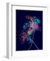 Japanese Hanabi Flowers-Stella Chang-Framed Art Print