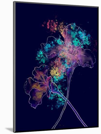 Japanese Hanabi Flowers-Stella Chang-Mounted Art Print