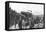 Japanese Howitzer Battery before Port Arthur, Russo-Japanese War, 1904-5-null-Framed Stretched Canvas