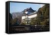 Japanese Imperial Palace in Tokyo Japan-DR_Flash-Framed Stretched Canvas