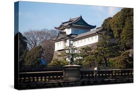 Japanese Imperial Palace in Tokyo Japan-DR_Flash-Stretched Canvas