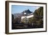 Japanese Imperial Palace in Tokyo Japan-DR_Flash-Framed Photographic Print