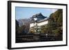 Japanese Imperial Palace in Tokyo Japan-DR_Flash-Framed Photographic Print