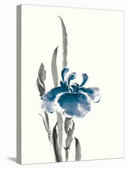 Japanese Iris II Crop Indigo-Chris Paschke-Stretched Canvas