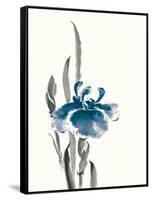 Japanese Iris II Crop Indigo-Chris Paschke-Framed Stretched Canvas