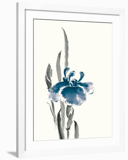 Japanese Iris II Crop Indigo-Chris Paschke-Framed Art Print