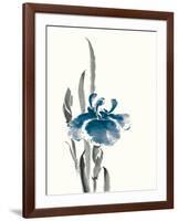 Japanese Iris II Crop Indigo-Chris Paschke-Framed Art Print