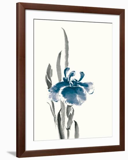 Japanese Iris II Crop Indigo-Chris Paschke-Framed Art Print