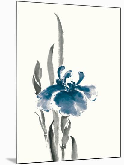 Japanese Iris II Crop Indigo-Chris Paschke-Mounted Art Print