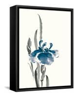 Japanese Iris II Crop Indigo-Chris Paschke-Framed Stretched Canvas