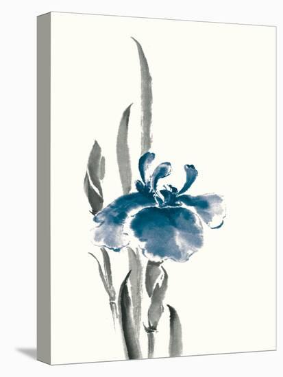 Japanese Iris II Crop Indigo-Chris Paschke-Stretched Canvas