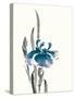 Japanese Iris II Crop Indigo-Chris Paschke-Stretched Canvas