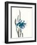 Japanese Iris II Crop Indigo-Chris Paschke-Framed Art Print