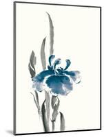 Japanese Iris II Crop Indigo-Chris Paschke-Mounted Art Print
