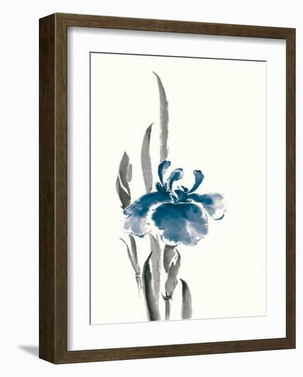 Japanese Iris II Crop Indigo-Chris Paschke-Framed Art Print