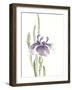 Japanese Iris II Purple Crop-Chris Paschke-Framed Art Print