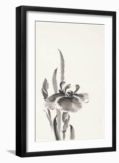 Japanese Iris II-Chris Paschke-Framed Art Print