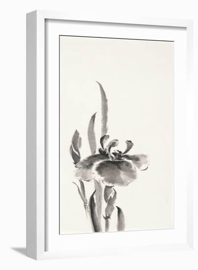 Japanese Iris II-Chris Paschke-Framed Art Print