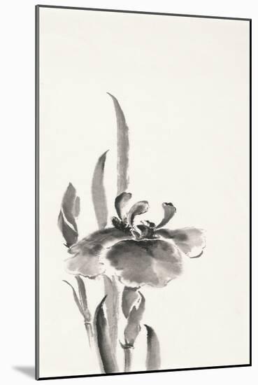Japanese Iris II-Chris Paschke-Mounted Art Print