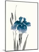 Japanese Iris III Crop Indigo-Chris Paschke-Mounted Art Print