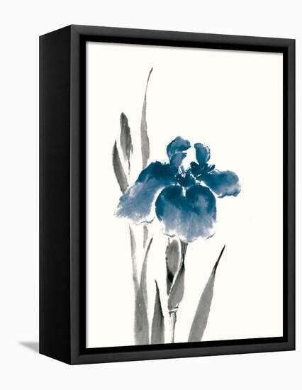 Japanese Iris III Crop Indigo-Chris Paschke-Framed Stretched Canvas