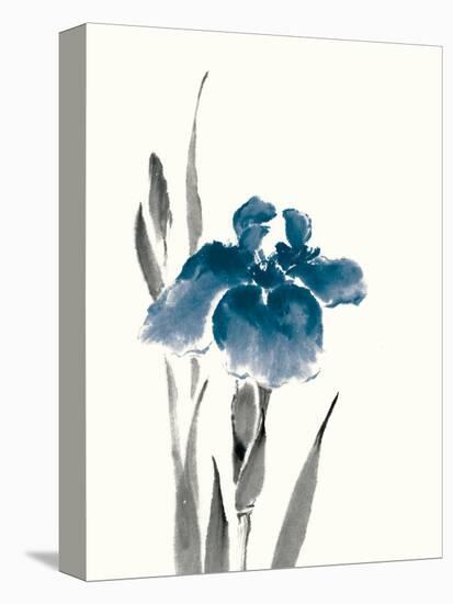 Japanese Iris III Crop Indigo-Chris Paschke-Stretched Canvas