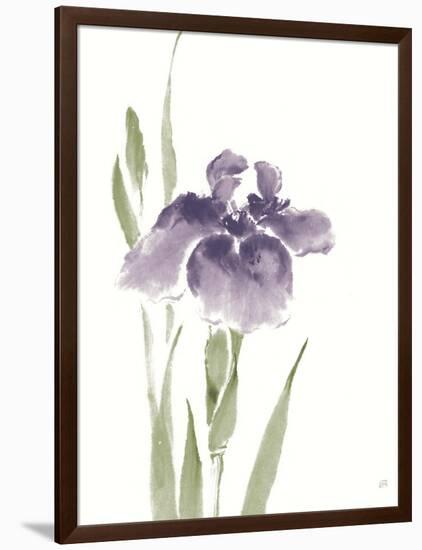 Japanese Iris III Purple Crop-Chris Paschke-Framed Art Print