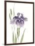 Japanese Iris III Purple Crop-Chris Paschke-Framed Art Print
