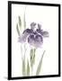 Japanese Iris III Purple Crop-Chris Paschke-Framed Art Print