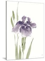 Japanese Iris III Purple Crop-Chris Paschke-Stretched Canvas